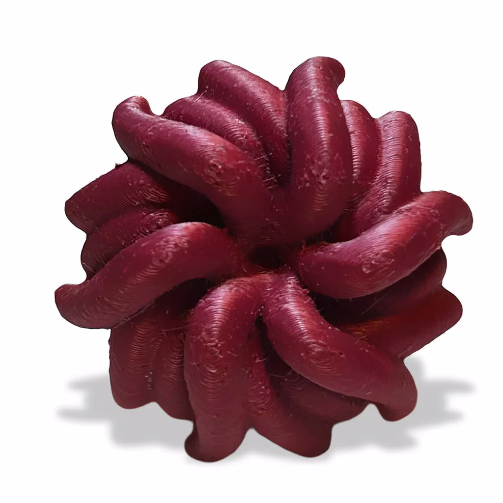 Meduza — Anel Radial Contemporâneo | KUBOLAB